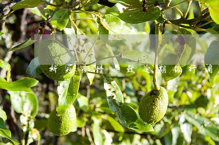 新冠疫情导致逾期银行调查吗 新冠疫情导致逾期银行调查吗
