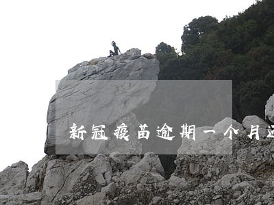新冠疫苗逾期一个月还能打么 新冠疫苗逾期一个月还能打么