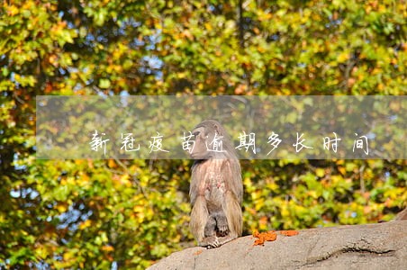 新冠疫苗逾期多长时间 新冠疫苗逾期多长时间