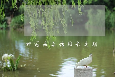新冠病毒信用卡逾期 新冠病毒信用卡逾期
