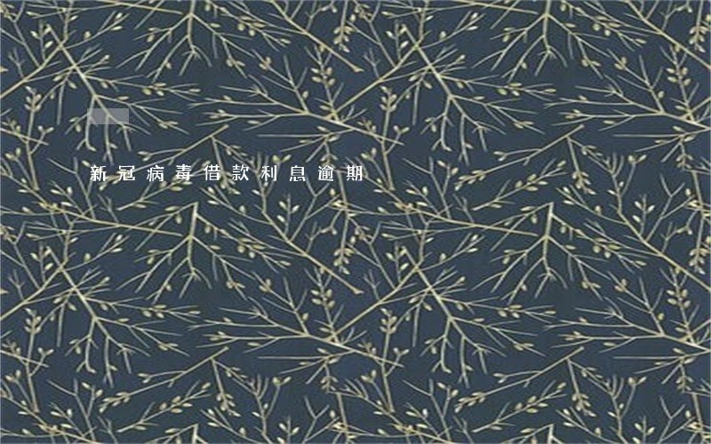 新冠病毒借款利息逾期 新冠病毒借款利息逾期