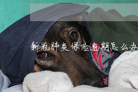 新冠肺炎保险逾期怎么办