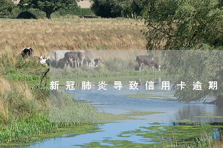 新冠肺炎导致信用卡逾期 新冠肺炎导致信用卡逾期