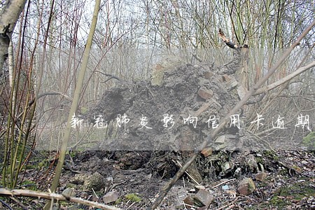新冠肺炎影响信用卡逾期 新冠肺炎影响信用卡逾期