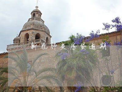 新冠肺炎房贷逾期 新冠肺炎房贷逾期