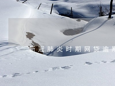 新冠肺炎时期网贷逾期了