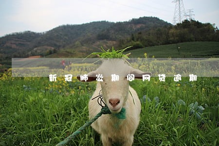 新冠肺炎期间网贷逾期 新冠肺炎期间网贷逾期