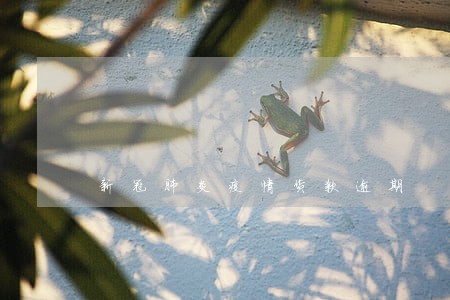 新冠肺炎疫情货款逾期 新冠肺炎疫情货款逾期