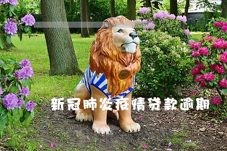 新冠肺炎疫情贷款逾期 新冠肺炎疫情贷款逾期