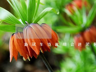新冠车贷逾期会进黑名单吗 新冠车贷逾期会进黑名单吗