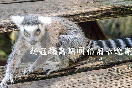 新冠隔离期间信用卡逾期怎么办