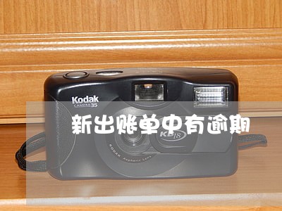 新出账单中有逾期 新出账单中有逾期