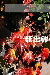 新出账单之前还款不算逾期 新出账单之前还款不算逾期