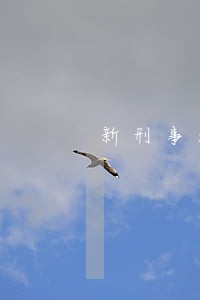 新刑事法信用卡逾期多少金额