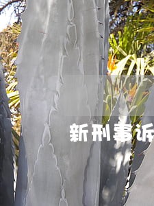 新刑事诉讼法办案常用法律条文