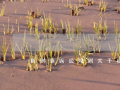 新刑事诉讼规则关于核准追诉 新刑事诉讼规则关于核准追诉
