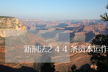 新刑法244条资本运作 新刑法244条资本运作