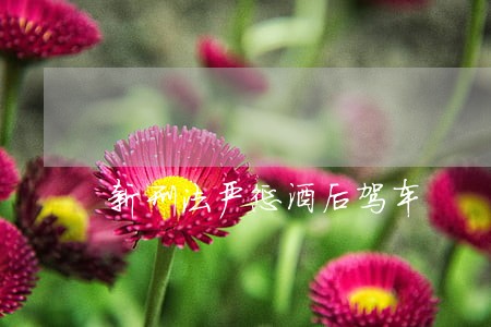 新刑法严惩酒后驾车 新刑法严惩酒后驾车