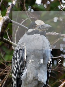 新刑法之非法经营罪要如何处罚 新刑法之非法经营罪要如何处罚