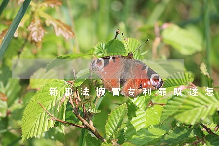 新刑法假冒专利罪既遂怎么判 新刑法假冒专利罪既遂怎么判