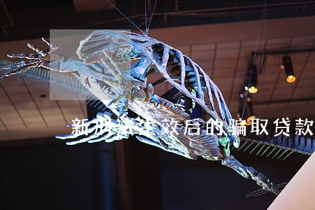 新刑法生效后的骗取贷款罪 新刑法生效后的骗取贷款罪
