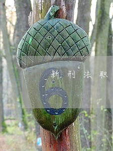 新刑法职务犯罪改判无期的规定 新刑法职务犯罪改判无期的规定