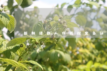 新刑法致人伤残规定刍议 新刑法致人伤残规定刍议
