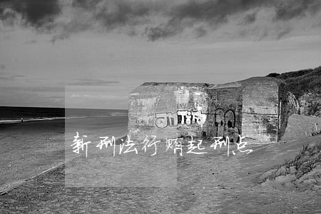 新刑法行贿起刑点 新刑法行贿起刑点