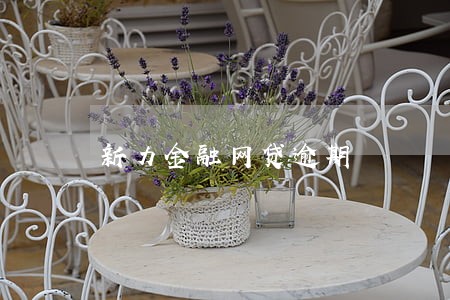 新力金融网贷逾期 新力金融网贷逾期