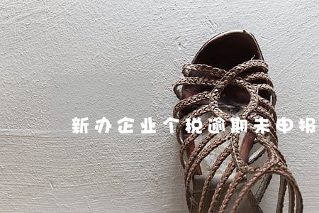 新办企业个税逾期未申报 新办企业个税逾期未申报