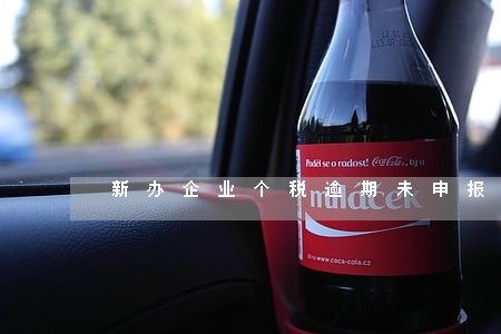 新办企业个税逾期未申报吗 新办企业个税逾期未申报吗
