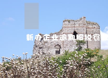 新办企业逾期报税罚款