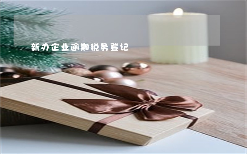 新办企业逾期税务登记 新办企业逾期税务登记