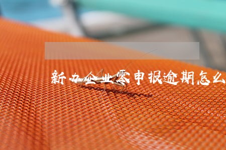 新办企业零申报逾期怎么办 新办企业零申报逾期怎么办