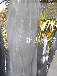 新办房贷一年内逾期 新办房贷一年内逾期