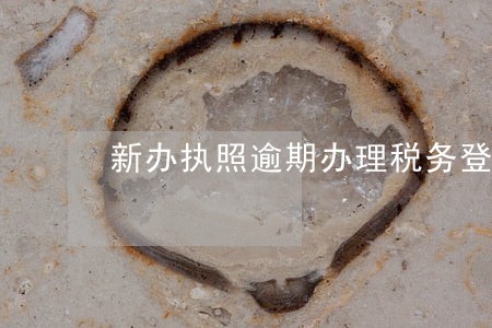 新办执照逾期办理税务登记 新办执照逾期办理税务登记