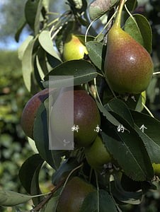 新办的个体逾期未做税务登记 新办的个体逾期未做税务登记