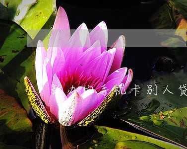 新办的手机卡别人贷款逾期 新办的手机卡别人贷款逾期