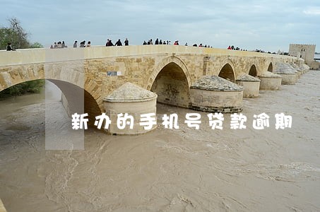 新办的手机号贷款逾期 新办的手机号贷款逾期