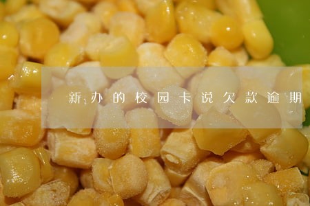 新办的校园卡说欠款逾期 新办的校园卡说欠款逾期