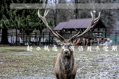 新办联通号有信用卡逾期短信