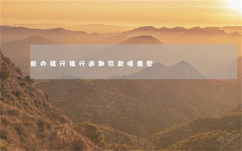 新办银行银行逾期罚款啥意思