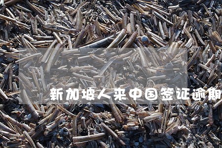 新加坡人来中国签证逾期 新加坡人来中国签证逾期