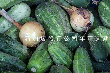 新加坡修订公司年审逾期处罚框架 新加坡修订公司年审逾期处罚框架