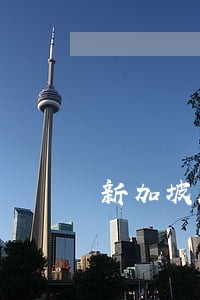 新加坡刷信用卡逾期