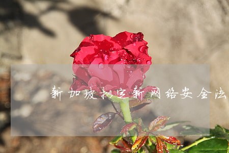 新加坡拟定新网络安全法规