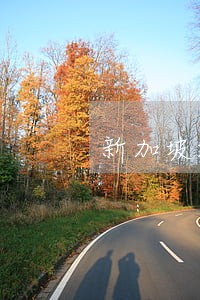 新加坡旅游签证逾期一年怎么处理 新加坡旅游签证逾期一年怎么处理