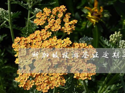 新加坡旅游签证逾期逗留两天