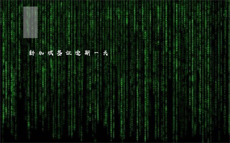 新加坡签证逾期一天 新加坡签证逾期一天