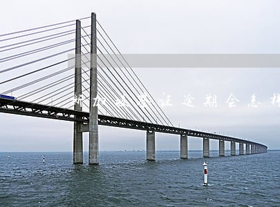 新加坡签证逾期会怎样 新加坡签证逾期会怎样